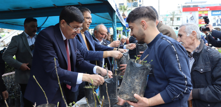 20 bin İNCİR FİDANI dağıtıldı