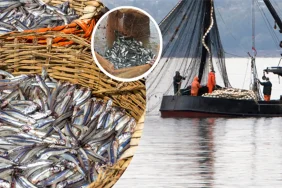 c68a9da2-68c3-477e-8cd7-d3576add3138