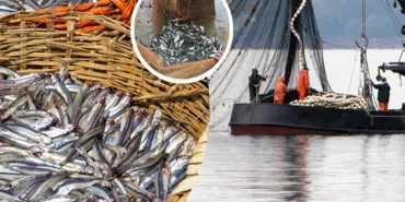 c68a9da2-68c3-477e-8cd7-d3576add3138