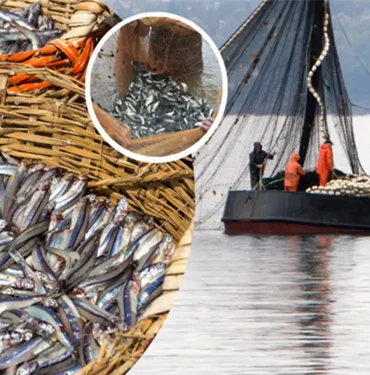 c68a9da2-68c3-477e-8cd7-d3576add3138