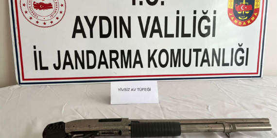Kantar ve pulluk çalan hırsız, jandarmadan kaçamadı!