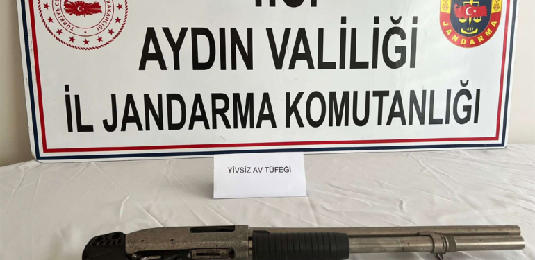 Kantar ve pulluk çalan hırsız, jandarmadan kaçamadı!
