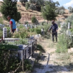 FB_IMG_1717424958818