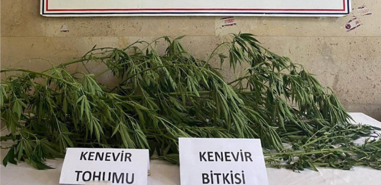 4 ilçede uyuşturucu operasyonu: 7 gözaltı