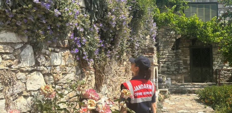 Tüylü Çan Çiçeği ve Sabır Çiçeği, Jandarma koruması altında!