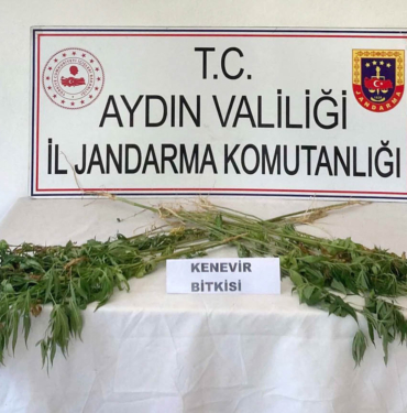 kökkenevir-3ilce