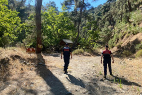 ormanyangindenetim-3