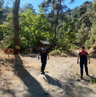 ormanyangindenetim-3