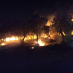 yangın-dikkatsizlik