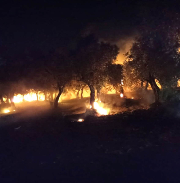 yangın-dikkatsizlik