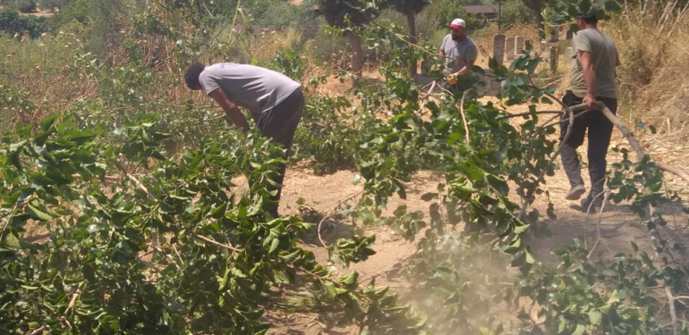 Ovacık, Güzelköy ve Dereağzı’nda kapsamlı temizlik!