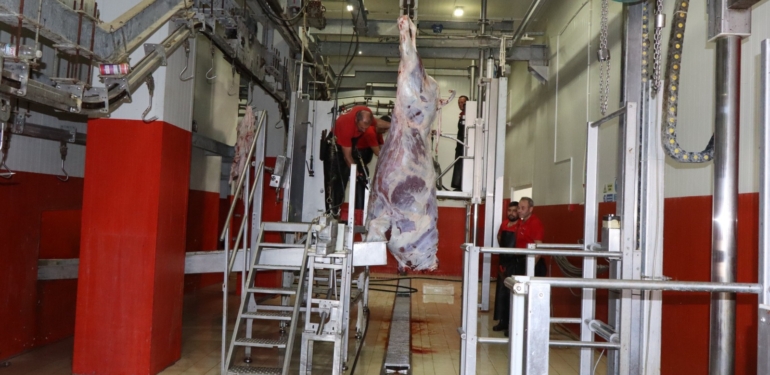 Nazilli Belediye Mezbahası, yenilenerek  hizmete girdi!