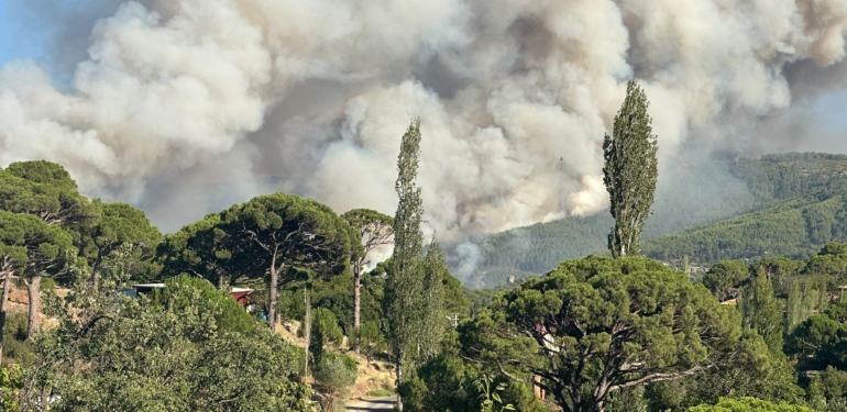 Bozdoğan’daki orman yangını söndürülmeye çalışılıyor!