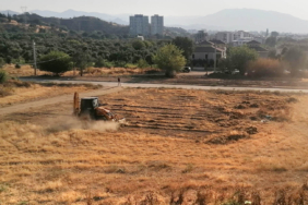 isabeyli-kuruot-81706