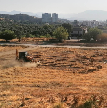 isabeyli-kuruot-81706