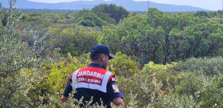 Jandarma Devlet avlağında kontrollere çıktı!