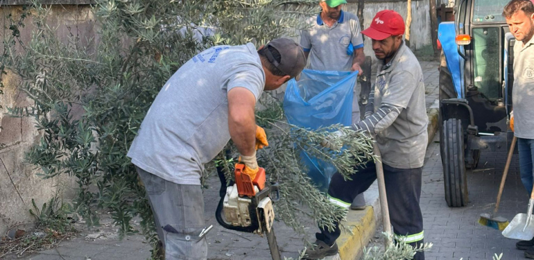 Başkan Tetik: “Saha ekiplerimiz canhıraş çalışıyor!”