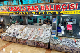 nazillibasbalikci-44