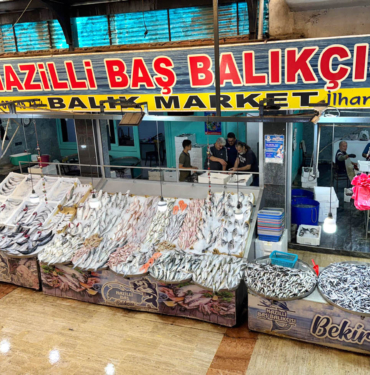 nazillibasbalikci-44