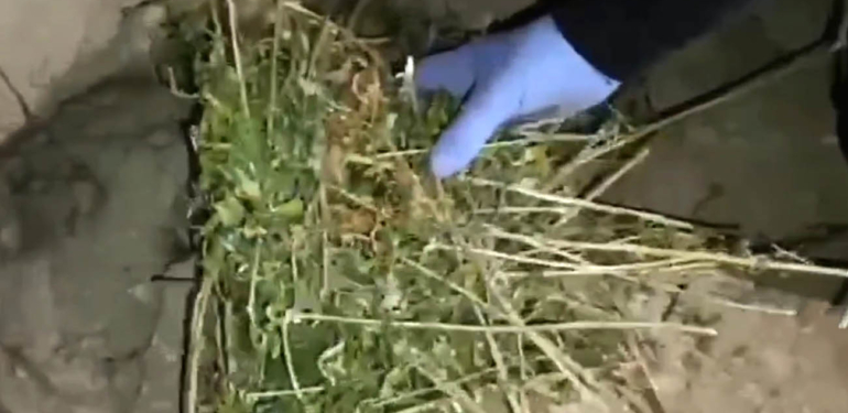 Uyuşturucu operasyonlarında 24 saatte 33 kişi yakalandı!