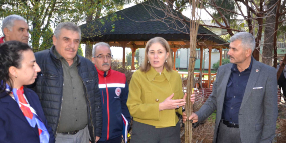 Nazillili üreticilere 8 bin 200 kestane fidanı dağıtıldı!