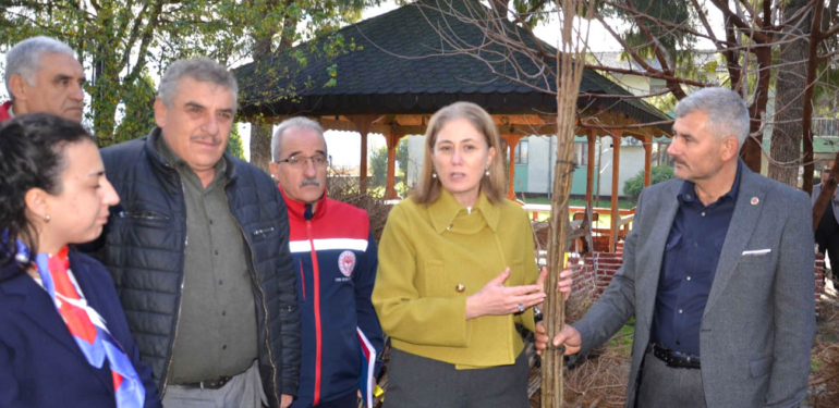 Nazillili üreticilere 8 bin 200 kestane fidanı dağıtıldı!