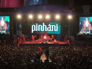 pinhani-2
