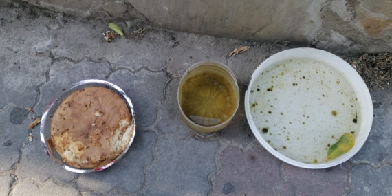 Ekmek bulamıyorlarsa pasta yesin minnoşlar!