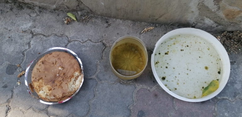 Ekmek bulamıyorlarsa pasta yesin minnoşlar!