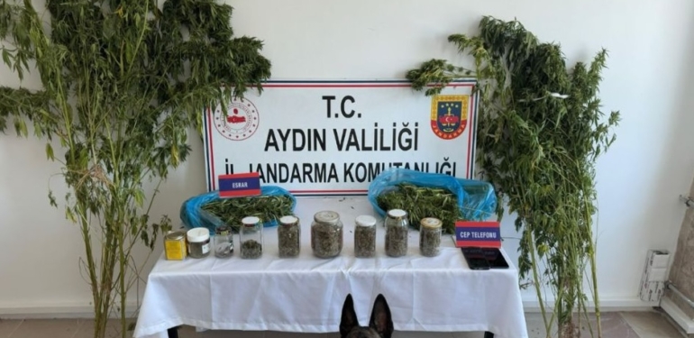 Jandarma’dan uyuşturucu operasyonu: 12 şüpheli yakalandı!