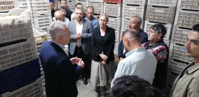 AK Parti heyetinden ‘Altın İncir’ ve ‘Dere Islahı’ ziyareti