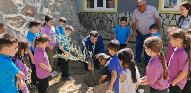 Zeytin fidanları ‘Yeşil Vatanımız’ için toprakla buluştu!