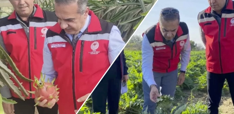 Temiz, pitaya ve enginar üretimini yerinde inceledi!