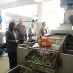 ökmen-zeytin-574588340