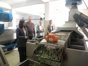 ökmen-zeytin-574588340