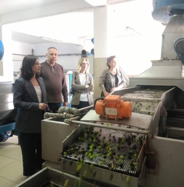 ökmen-zeytin-574588340