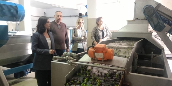 Başkan Ökmen üreticilerle buluştu, zeytinin serüvenine tanıklık etti!