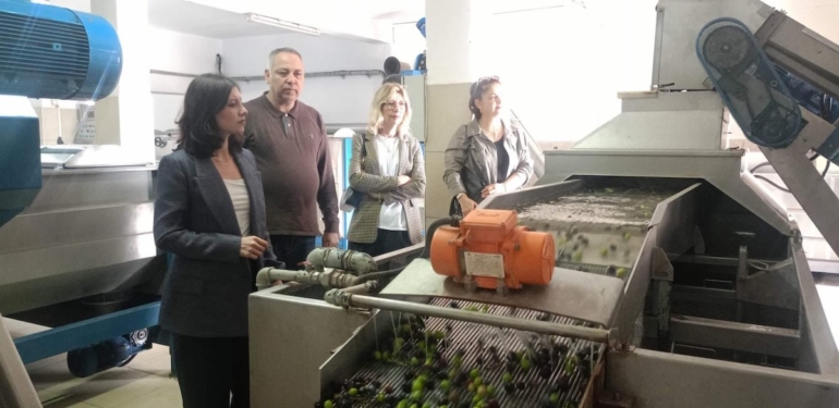 Başkan Ökmen üreticilerle buluştu, zeytinin serüvenine tanıklık etti!