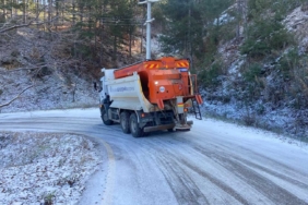 ABB-karlamücadele7