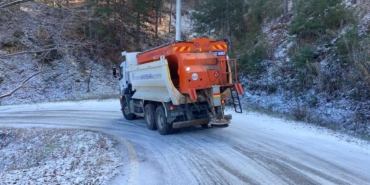 ABB-karlamücadele7