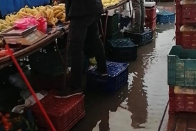 IMG-20260108-WA0013_edit_70111693385134