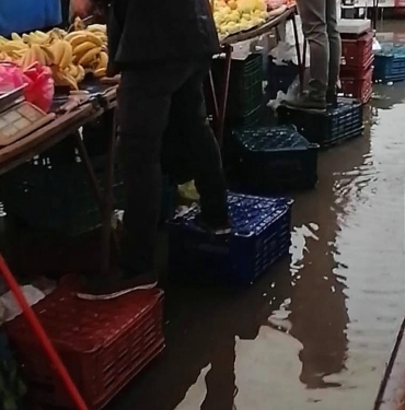 IMG-20260108-WA0013_edit_70111693385134