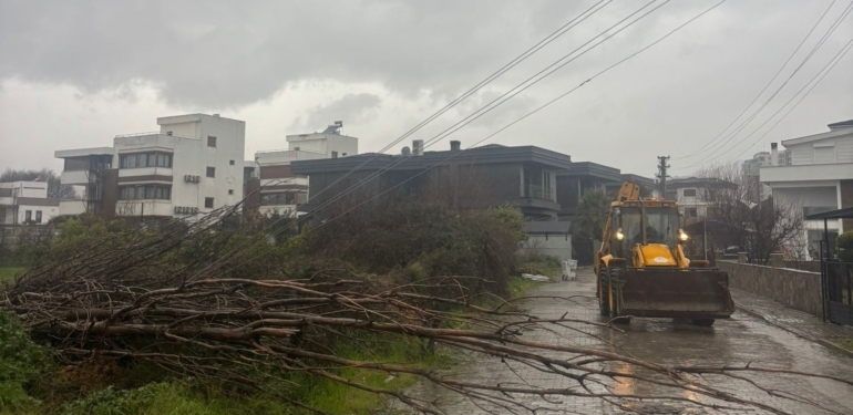İsabeyli’de devrilen ağaçlar, elektrik tellerini kopardı!