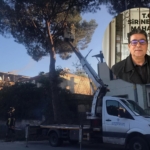 ABB-sirinevler-budama