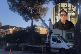 ABB-sirinevler-budama