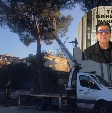 ABB-sirinevler-budama