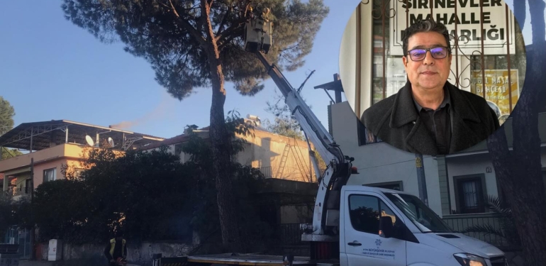 ABB-sirinevler-budama