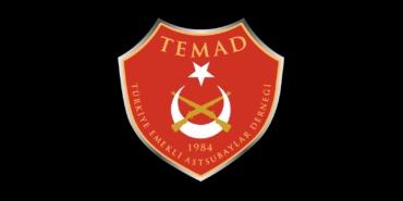 TEMAD-11olagangenelkurul
