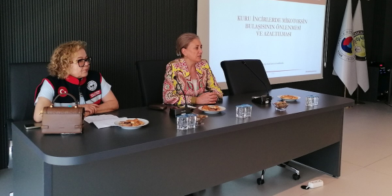 Kuru incirde ihracatın şifresi: Depo hijyeni ve sıfır mikotoksin