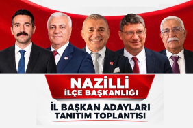 yeninazilli-ilbaskanadaylari1